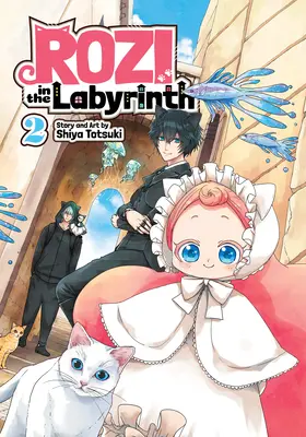 Rozi im Labyrinth, Band 2 - Rozi in the Labyrinth Vol. 2