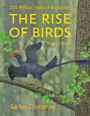 Der Aufstieg der Vögel: 225 Millionen Jahre Evolution - The Rise of Birds: 225 Million Years of Evolution