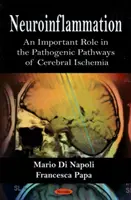 Neuroinflammation - eine wichtige Rolle in den pathogenen Pfaden der zerebralen Ischämie - Neuroinflammation - An Important Role in the Pathogenic Pathways of Cerebral Ischemia
