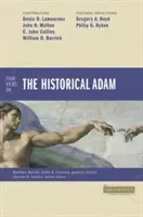 Vier Ansichten Historischer Adam - Four Views Historical Adam