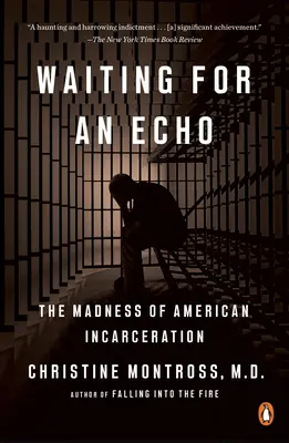 Warten auf ein Echo: Der Wahnsinn der amerikanischen Inhaftierung - Waiting for an Echo: The Madness of American Incarceration