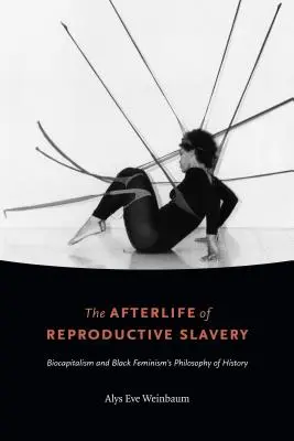 Das Nachleben der Reproduktionssklaverei: Biokapitalismus und die Geschichtsphilosophie des schwarzen Feminismus - The Afterlife of Reproductive Slavery: Biocapitalism and Black Feminism's Philosophy of History