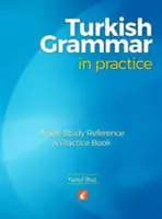 Türkische Grammatik in der Praxis - Ein Nachschlagewerk und Übungsbuch zum Selbststudium - Turkish Grammar in Practice - A self-study reference & practice book