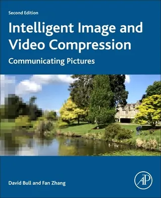 Intelligente Bild- und Videokomprimierung: Bilder kommunizieren - Intelligent Image and Video Compression: Communicating Pictures