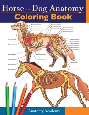 Pferd + Hund Anatomie Malbuch: 2-in-1 Zusammenstellung Unglaublich detaillierter Selbsttest Pferde- und Hundeanatomie Malbuch Perfektes Geschenk für Tierärzte - Horse + Dog Anatomy Coloring Book: 2-in-1 Compilation Incredibly Detailed Self-Test Equine & Canine Anatomy Color workbook Perfect Gift for Veterinary