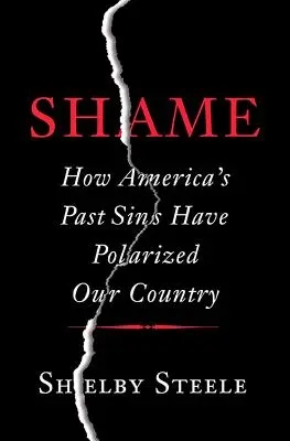 Schande: Wie Amerikas Sünden der Vergangenheit unser Land polarisiert haben - Shame: How America's Past Sins Have Polarized Our Country