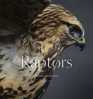 Raubvögel: Porträts von Raubvögeln (Vogelfotografie-Buch) - Raptors: Portraits of Birds of Prey (Bird Photography Book)