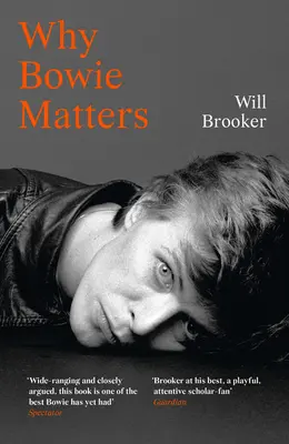 Warum Bowie wichtig ist - Why Bowie Matters