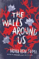 Die Mauern um uns herum - The Walls Around Us