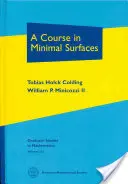 Kurs über minimale Oberflächen - Course in Minimal Surfaces