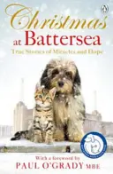Weihnachten in Battersea: Wahre Geschichten von Wundern und Hoffnung - Christmas at Battersea: True Stories of Miracles and Hope