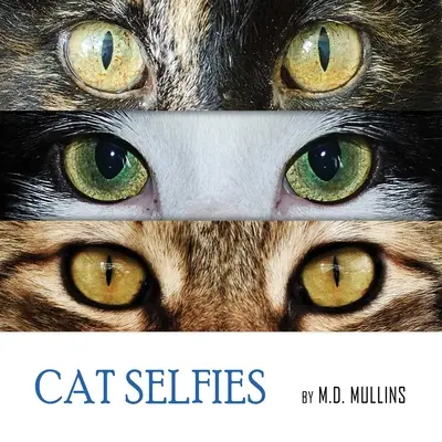 Katzen-Selfies - Cat Selfies