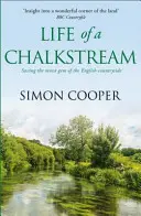 Das Leben eines Kreidestroms - Life of a Chalkstream