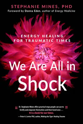 Wir stehen alle unter Schock: Energieheilung für traumatische Zeiten - We Are All in Shock: Energy Healing for Traumatic Times