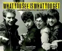 Was Sie sehen, ist was Sie bekommen: Stiff Little Fingers 1977-1983 - What You See Is What You Get: Stiff Little Fingers 1977-1983