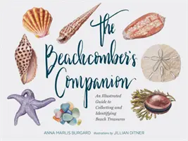 The Beachcomber's Companion: Ein illustrierter Leitfaden zum Sammeln und Identifizieren von Strandschätzen (Aquarell-Muschel- und Muschelsammelbuch, Bea - The Beachcomber's Companion: An Illustrated Guide to Collecting and Identifying Beach Treasures (Watercolor Seashell and Shell Collecting Book, Bea