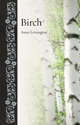 Birke - Birch