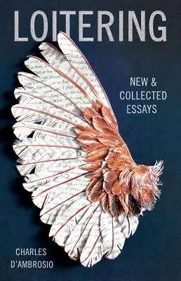 Herumlungern: Neue und gesammelte Essays - Loitering: New and Collected Essays