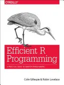 Effiziente R-Programmierung: Ein praktischer Leitfaden für intelligenteres Programmieren - Efficient R Programming: A Practical Guide to Smarter Programming