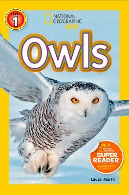 Eulen - Owls