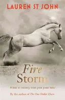 Ein-Dollar-Pferd: Feuersturm - Buch 3 - One Dollar Horse: Fire Storm - Book 3
