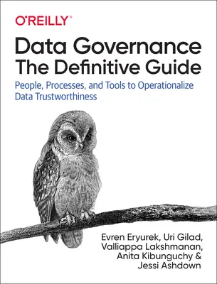 Datenverwaltung: Der definitive Leitfaden: Menschen, Prozesse und Tools zur Operationalisierung der Vertrauenswürdigkeit von Daten - Data Governance: The Definitive Guide: People, Processes, and Tools to Operationalize Data Trustworthiness