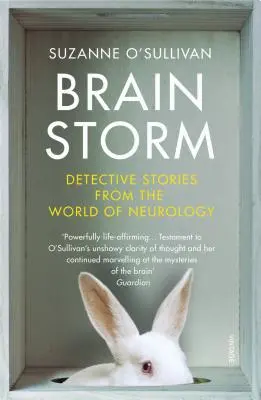 Brainstorm - Detektivgeschichten aus der Welt der Neurologie - Brainstorm - Detective Stories From the World of Neurology