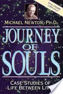 Die Reise der Seelen: Fallstudien zum Leben zwischen den Leben - Journey of Souls: Case Studies of Life Between Lives