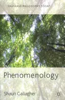 Phänomenologie - Phenomenology