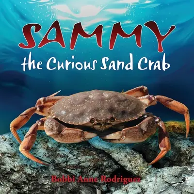 Sammy, die neugierige Sandkrabbe - Sammy the Curious Sand Crab