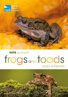 Rspb Spotlight Frösche und Kröten - Rspb Spotlight Frogs and Toads