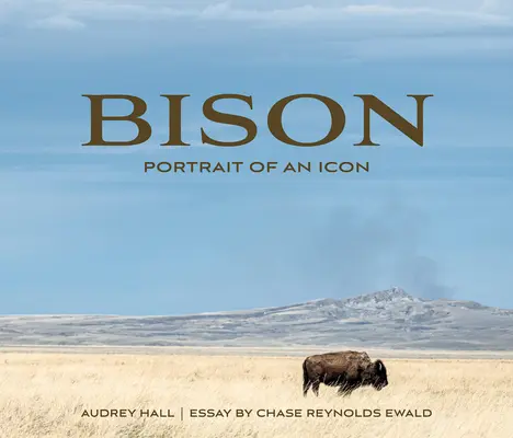 Bison: Porträt einer Ikone - Bison: Portrait of an Icon