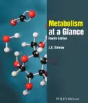 Metabolismus auf einen Blick - Metabolism at a Glance