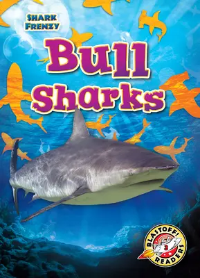 Bullenhaie - Bull Sharks