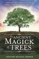 Die uralte Magie der Bäume: Identifizieren und Verwenden von Bäumen in Ihrer spirituellen und magischen Praxis - The Ancient Magick of Trees: Identify & Use Trees in Your Spiritual & Magickal Practice