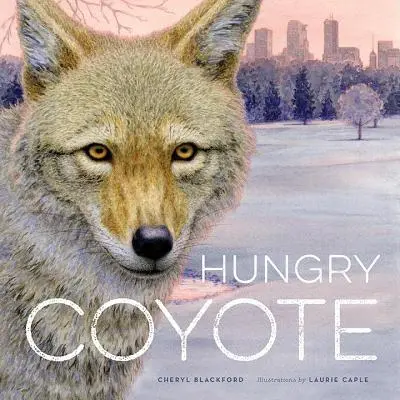 Hungriger Kojote - Hungry Coyote