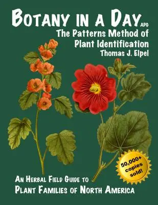 Botanik an einem Tag: Die Patterns-Methode der Pflanzenidentifikation - Botany in a Day: The Patterns Method of Plant Identification