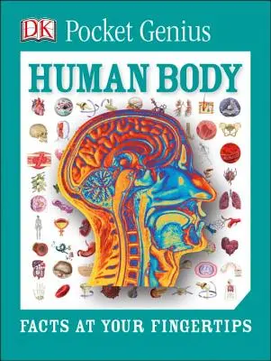 Pocket Genius: Der menschliche Körper: Fakten auf Tastendruck - Pocket Genius: Human Body: Facts at Your Fingertips