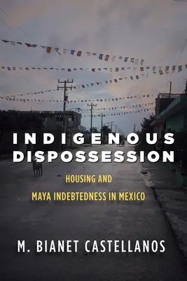 Indigene Enteignung: Wohnraum und Verschuldung der Maya in Mexiko - Indigenous Dispossession: Housing and Maya Indebtedness in Mexico