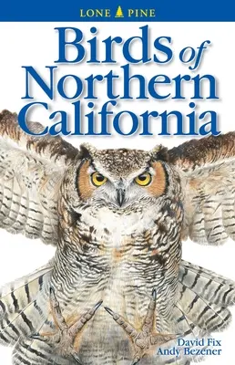 Vögel in Nordkalifornien - Birds of Northern California