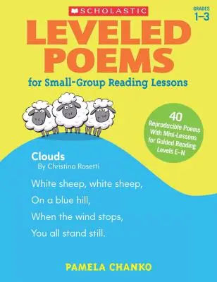 Niveaugleiche Gedichte für den Leseunterricht in Kleingruppen: 40 reproduzierbare Gedichte mit Minilektionen für geführte Lesestunden der Stufen E-N - Leveled Poems for Small-Group Reading Lessons: 40 Reproducible Poems with Mini-Lessons for Guided Reading Levels E-N