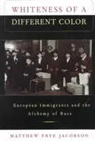 Weißsein in einer anderen Farbe: Europäische Einwanderer und die Alchemie der Ethnie - Whiteness of a Different Color: European Immigrants and the Alchemy of Race