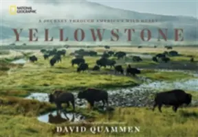 Yellowstone: Eine Reise durch Amerikas wildes Herz - Yellowstone: A Journey Through America's Wild Heart