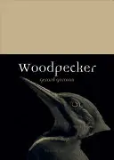 Specht - Woodpecker