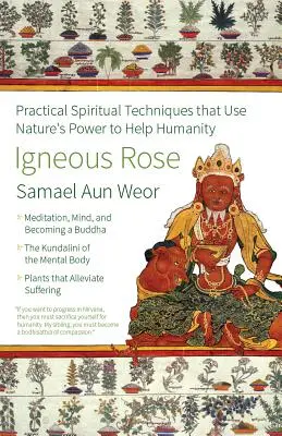 Die eisenhaltige Rose: Die Magie, die sexuelle Energie und der Geist des inneren Buddhas - Igneous Rose: The Magic, Sexual Energy, and Mind of the Inner Buddha