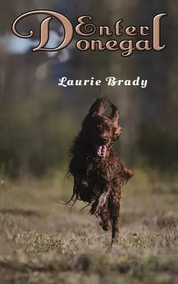 Donegal eingeben - Enter Donegal