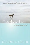 Die ungebundene Seele: Die Reise über sich selbst hinaus - The Untethered Soul: The Journey Beyond Yourself