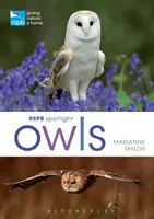 Rspb Spotlight Eulen - Rspb Spotlight Owls