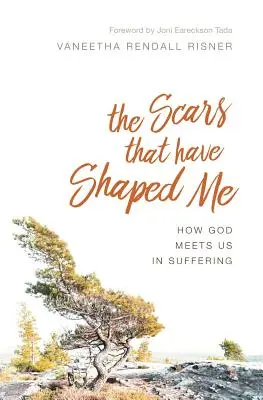 Die Narben, die mich geformt haben: Wie Gott uns im Leid begegnet - The Scars That Have Shaped Me: How God Meets Us in Suffering