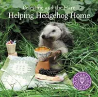 Dem Igel nach Hause helfen - Helping Hedgehog Home